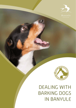 dealing with barking dogs in banyule