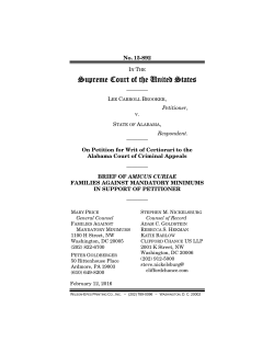 Supreme Court Amicus Brief