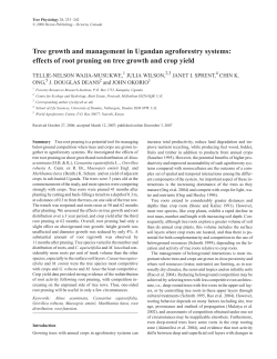 effects of root pruning on tree growth and crop yield