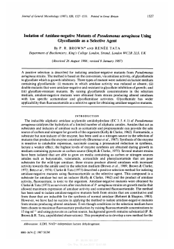 Isolation of Amidase-negative Mutants of