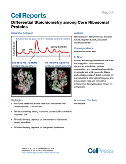 Differential Stoichiometry among Core Ribosomal Proteins