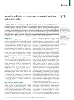 Neural tube defects: recent advances, unsolved questions, and