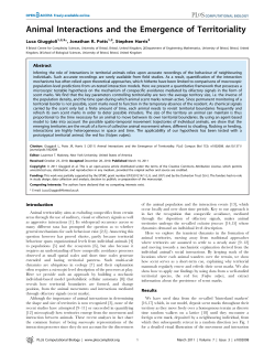 Animal Interactions and the Emergence of Territoriality