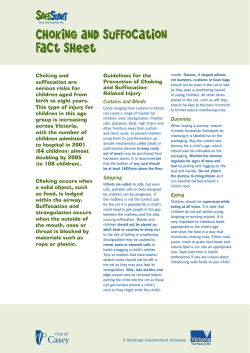 Choking And Suffocation Fact Sheet