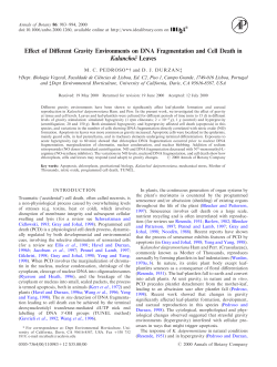 Effect of Different Gravity Environments on DNA Fragmentation and