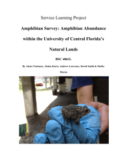 Service Learning Project Amphibian Survey: Amphibian Abundance