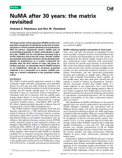 NuMA after 30 years: the matrix revisited