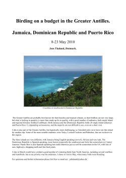 Birding on a budget in the Greater Antilles. Jamaica