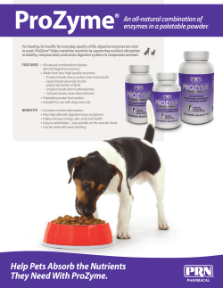 Help Pets Absorb the Nutrients They Need With
