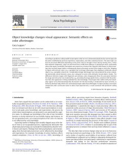 Object knowledge changes visual appearance