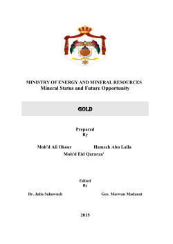 Mineral Status and Future Opportunity