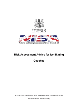 Risk Assessment Advice for Ice Skating Coaches