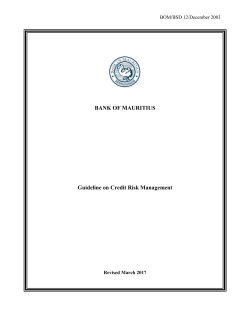 BANK OF MAURITIUS Guideline on Credit Risk Management