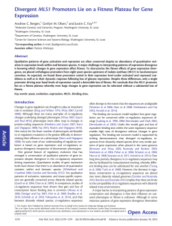 Divergent MLS1 Promoters Lie on a Fitness Plateau for Gene