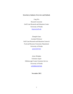 Strawberry Industry Overview and Outlook