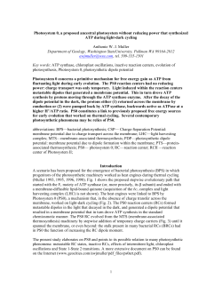 Photosystem 0, a proposed ancestral photosystem without