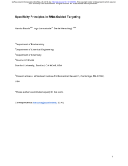 Specificity Principles in RNA-Guided Targeting