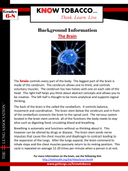 Background Information - Lung Association of Saskatchewan