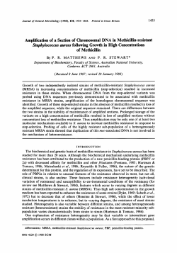 Amplification of a Section of Chromosomal DNA in