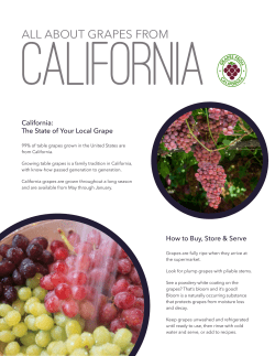 All About Grapes From California