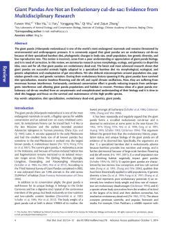 Review Giant Pandas Are Not an Evolutionary