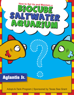 How to Set Up and Maintain a BioCube Saltwater Aquarium