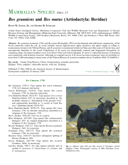 Bos grunniens and Bos mutus (Artiodactyla: Bovidae)