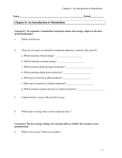 Chapter 8: An Introduction to Metabolism