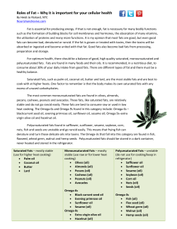 Roles of Fat - Nourish And Revive