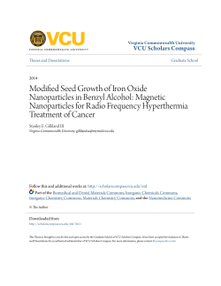 Modified Seed Growth of Iron Oxide Nanoparticles in Benzyl Alcohol