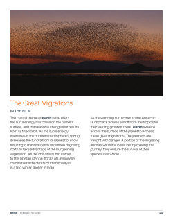 The Great Migrations