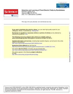 Floral Electric Fields