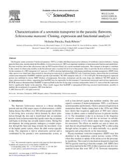 Characterization of a serotonin transporter in the parasitic flatworm