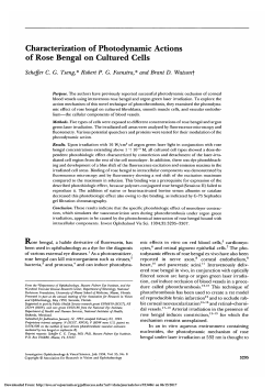 Characterization of photodynamic actions of rose bengal on