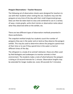 Penguin Observations