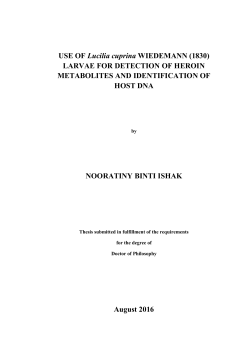 chapter 2 - ePrints USM