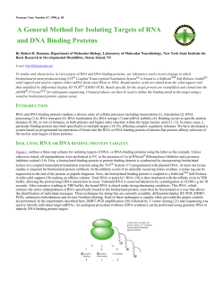 Promega Notes: A General Method for Isolating Targets of RNA and