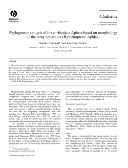 Phylogenetic analysis of the corbiculate Apinae based on