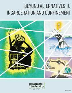 Beyond Alternatives to Incarceration and Confinement