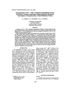 Characterization of (Ca2++ Mg2+) Adenosine Triphosphatase