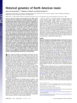 Historical genomics of North American maize - Ross