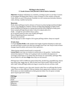 Pill Bugs in the Garden! 1st Grade Science Unit