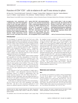 Function of CD4 CD3 cells in relation to B- and T