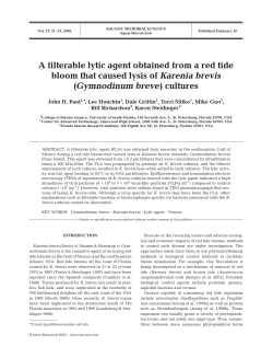 A filterable lytic agent obtained from a red tide bloom that caused