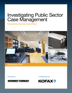 Investigating Public Sector Case Management