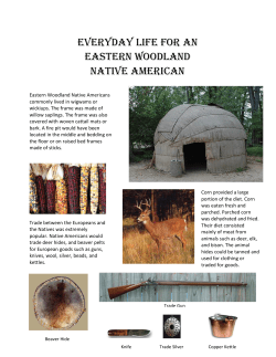 Everyday Life For An Eastern Woodland Native American