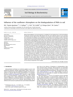 Influence of the sunflower rhizosphere on the biodegradation of