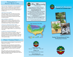 Hardy ChineseWindmill Palm FREQUENTLY ASKED