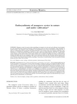 Endosymbionts of mangrove oyster in nature and under - ICM-CSIC