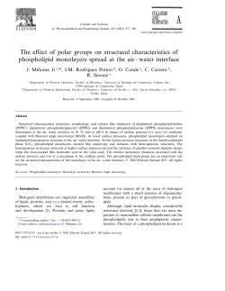The effect of polar groups on structural characteristics of